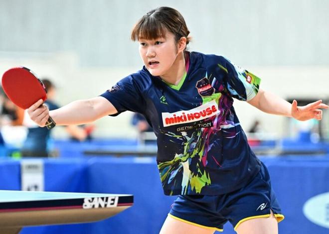 在新能源高 在新能源高