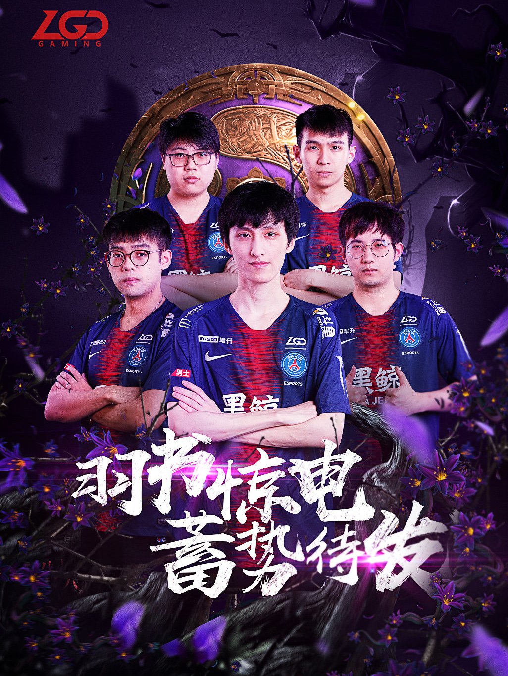 不仅拥有豪